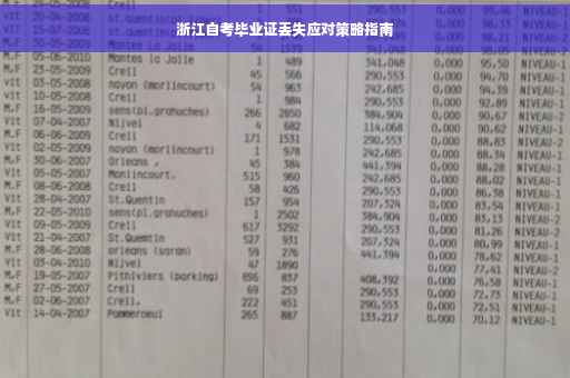 浙江自考毕业证丢失应对策略指南