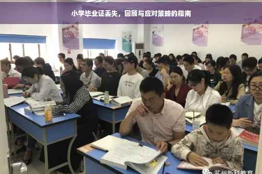 小学毕业证丢失，回顾与应对策略的指南
