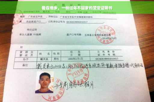 我在他乡，一份过年不回家的坚定证明书