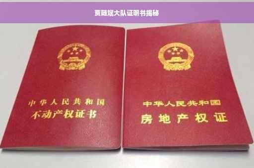 贾随斌大队证明书揭秘