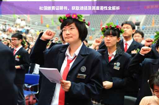 社保缴费证明书，获取途径及其重要性全解析