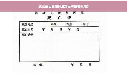 毕业证丢失如何应对高考报名挑战？