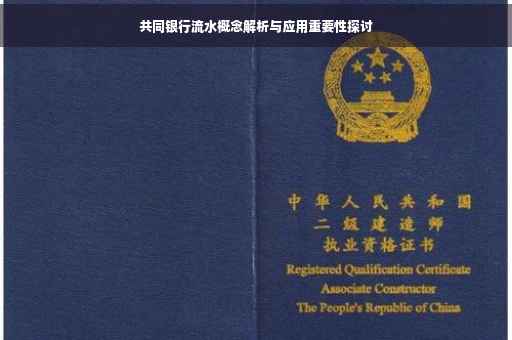 共同银行流水概念解析与应用重要性探讨