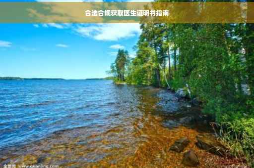 合法合规获取医生证明书指南