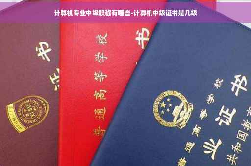 计算机专业中级职称有哪些-计算机中级证书是几级