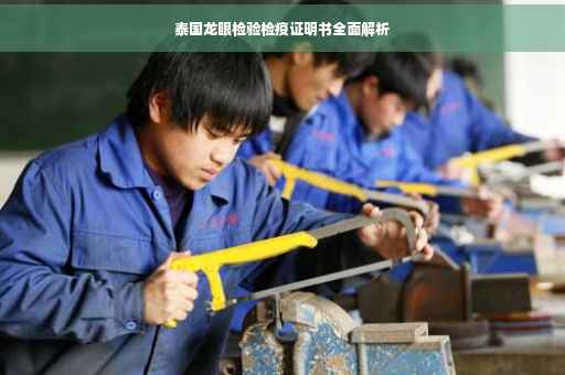 泰国龙眼检验检疫证明书全面解析