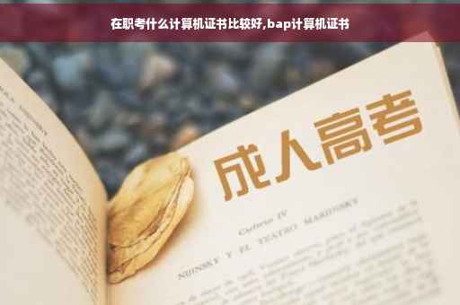 在职考什么计算机证书比较好,bap计算机证书