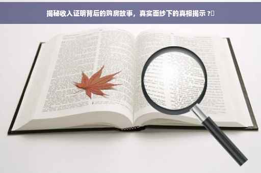 揭秘收入证明背后的购房故事，真实面纱下的真相揭示 ?✨