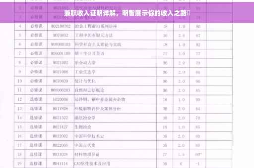 兼职收入证明详解，明智展示你的收入之路✨