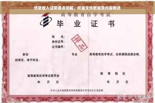 贷款收入证明要点详解，所需文件数量及内容概述