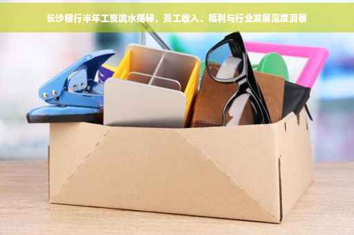长沙银行半年工资流水揭秘，员工收入、福利与行业发展深度洞察