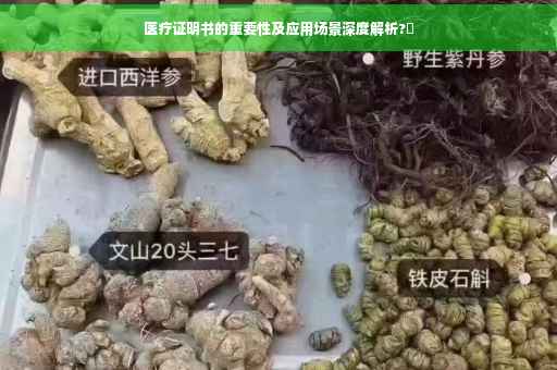 医疗证明书的重要性及应用场景深度解析?✨