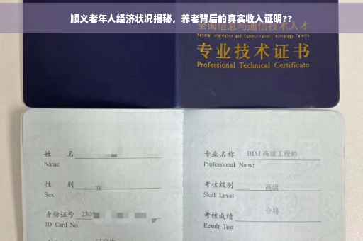 顺义老年人经济状况揭秘，养老背后的真实收入证明??