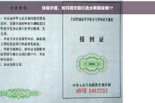 详细步骤，如何提交银行流水明细指南??