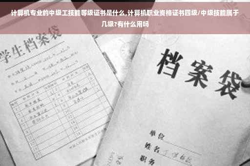 计算机专业的中级工技能等级证书是什么,计算机职业资格证书四级/中级技能属于几级?有什么用吗
