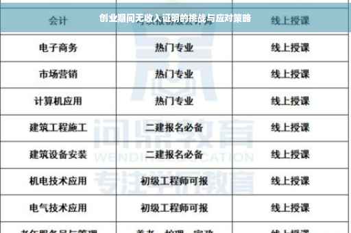 创业期间无收入证明的挑战与应对策略