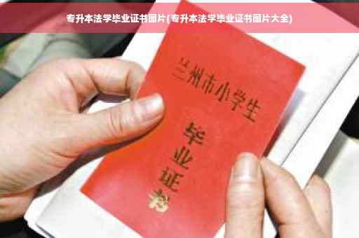 专升本法学毕业证书图片(专升本法学毕业证书图片大全)