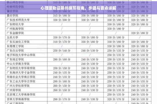 心理援助证明书撰写指南，步骤与要点详解