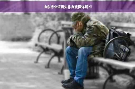 山东毕业证丢失补办流程详解?✨