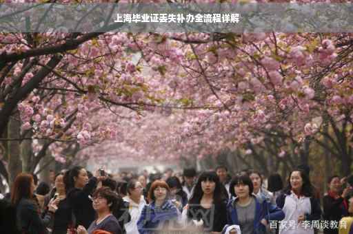 上海毕业证丢失补办全流程详解