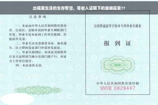 出租屋生活的生存智慧，零收入证明下的策略探索??