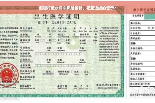 假银行流水购车风险揭秘，犯罪边缘的警示?