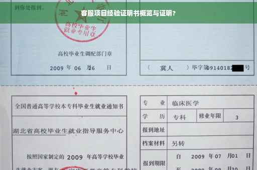 客服项目经验证明书概览与证明?