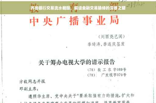 齐鲁银行交易流水截图，解读金融交易脉络的洞察之窗