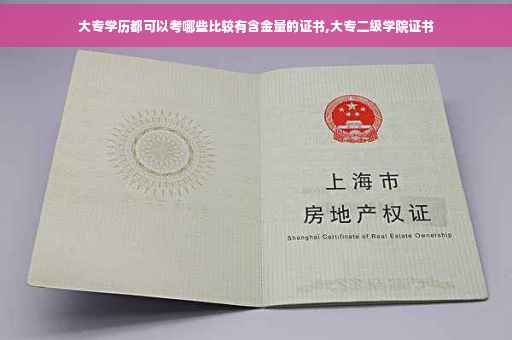 大专学历都可以考哪些比较有含金量的证书,大专二级学院证书