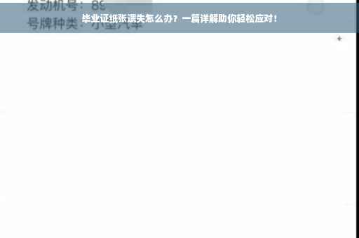 毕业证纸张遗失怎么办？一篇详解助你轻松应对！