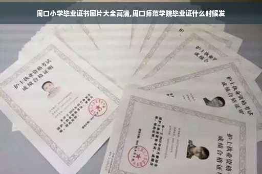 周口小学毕业证书图片大全高清,周口师范学院毕业证什么时候发