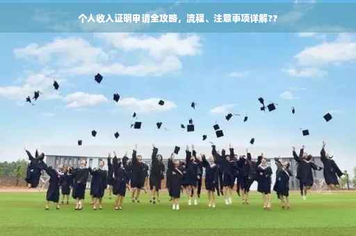 个人收入证明申请全攻略，流程、注意事项详解??