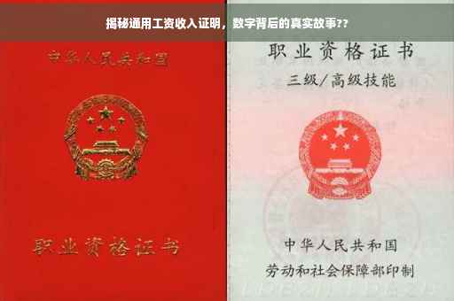 揭秘通用工资收入证明，数字背后的真实故事??