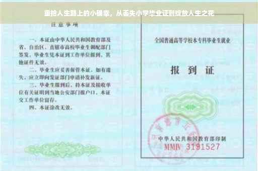 重拾人生路上的小确幸，从丢失小学毕业证到绽放人生之花