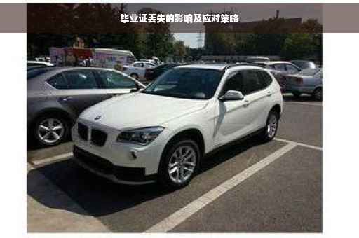 毕业证丢失的影响及应对策略