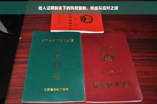 收入证明缺失下的购房策略，挑战与应对之道