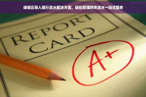 诺诺云导入银行流水解决方案，轻松管理财务流水一站式服务
