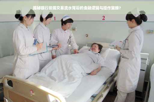揭秘银行按揭交易流水背后的金融逻辑与操作策略?