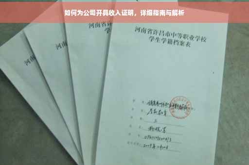 如何为公司开具收入证明，详细指南与解析