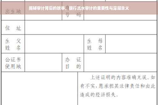 揭秘审计背后的故事，银行流水审计的重要性与深层含义