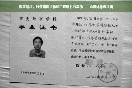 深度解析，如何辨别货物进口证明书的真伪——自媒体作者指南