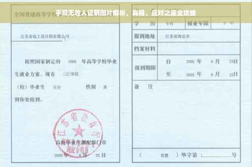 手写无收入证明图片解析，真相、应对之策全攻略