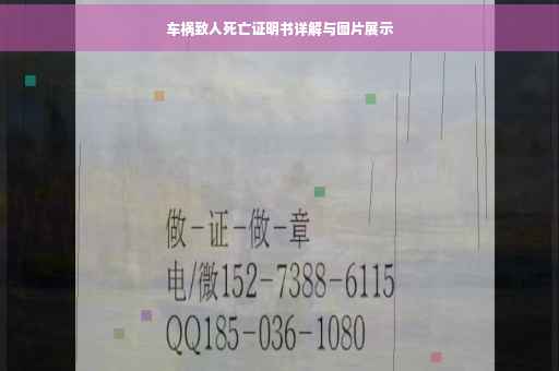 车祸致人死亡证明书详解与图片展示