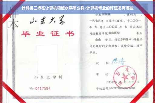 计算机二级在计算机领域水平怎么样-计算机专业的好证书有哪些