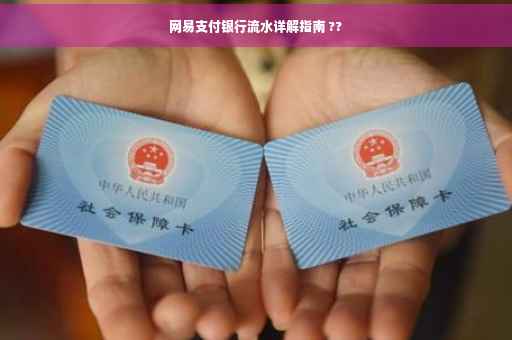 网易支付银行流水详解指南 ??