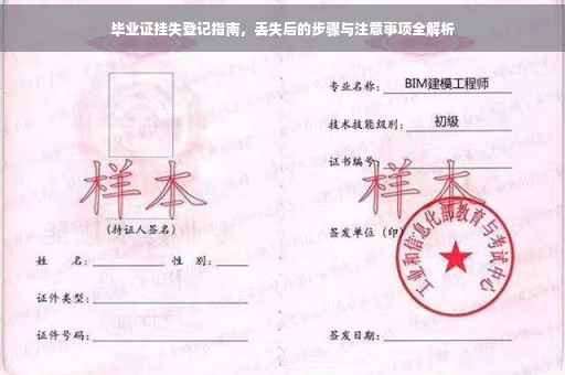 毕业证挂失登记指南，丢失后的步骤与注意事项全解析