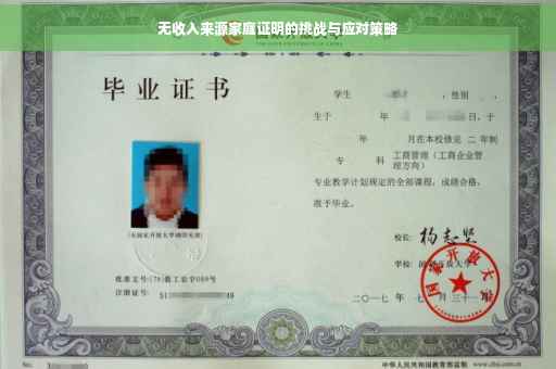 无收入来源家庭证明的挑战与应对策略