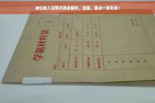 单位收入证明开具全解析，流程、要点一览无余！