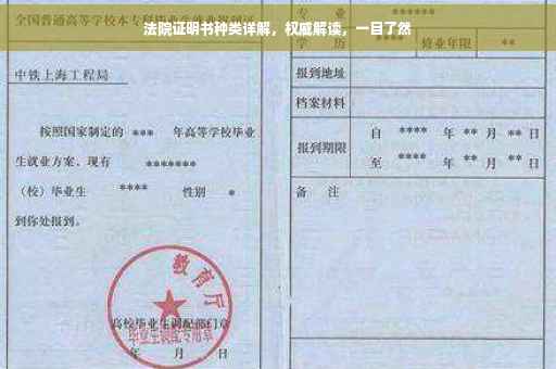 法院证明书种类详解，权威解读，一目了然