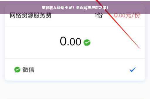 贷款收入证明不足？全面解析应对之策！